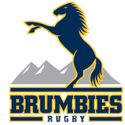 Blues vs Brumbies 2024 Live Stream Round 9 | Super Rugby | Full Match Replay