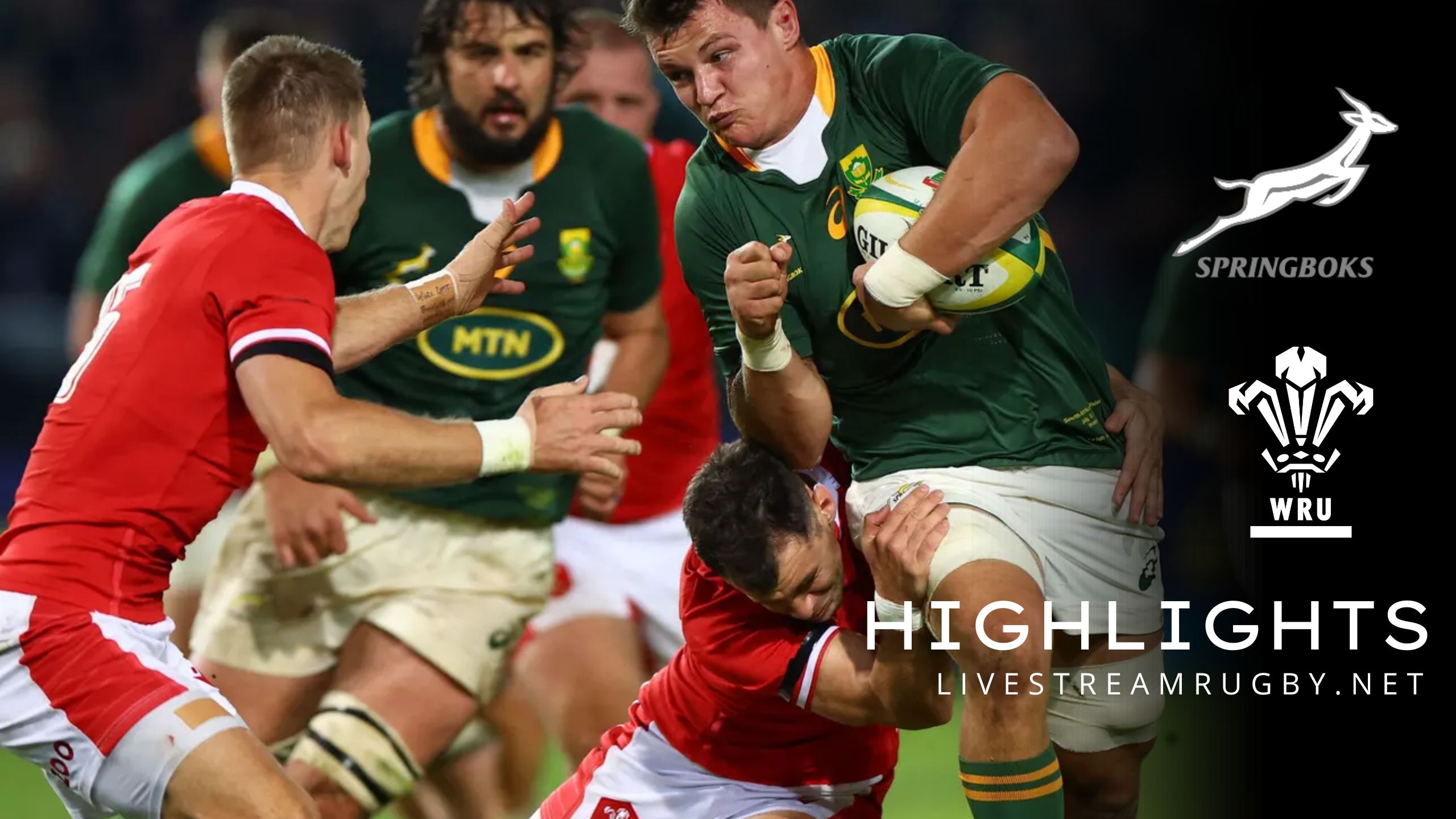 South Africa Vs Wales Highlights 2022 3rd July Test